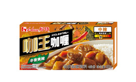 JAVA CURRY 90g