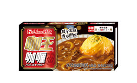 JAVA CURRY 90g